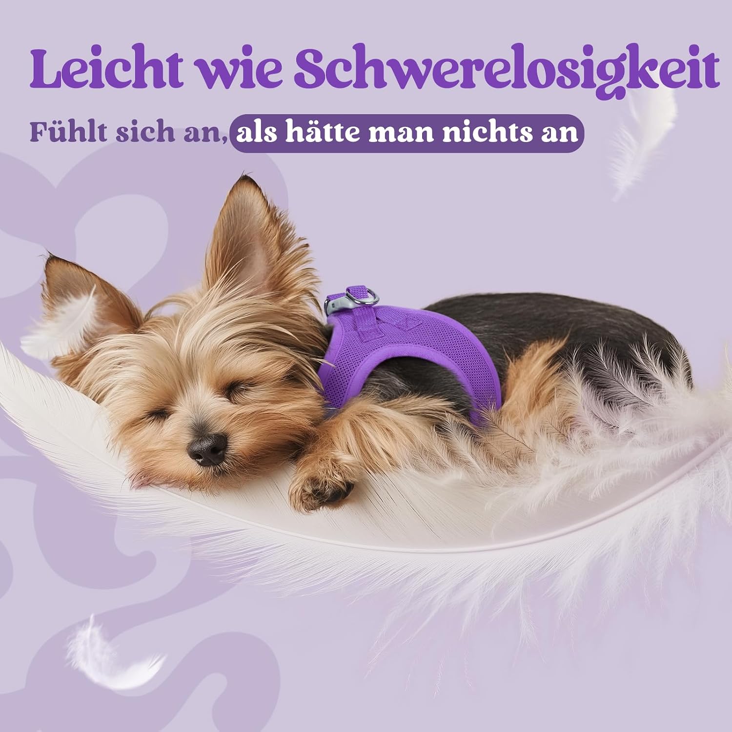 Detalle de rabbitgoo Hundegeschirr Kleine Hunde XS – Schritt-in Mesh-Geschirr mit Reflektivität (Lila)