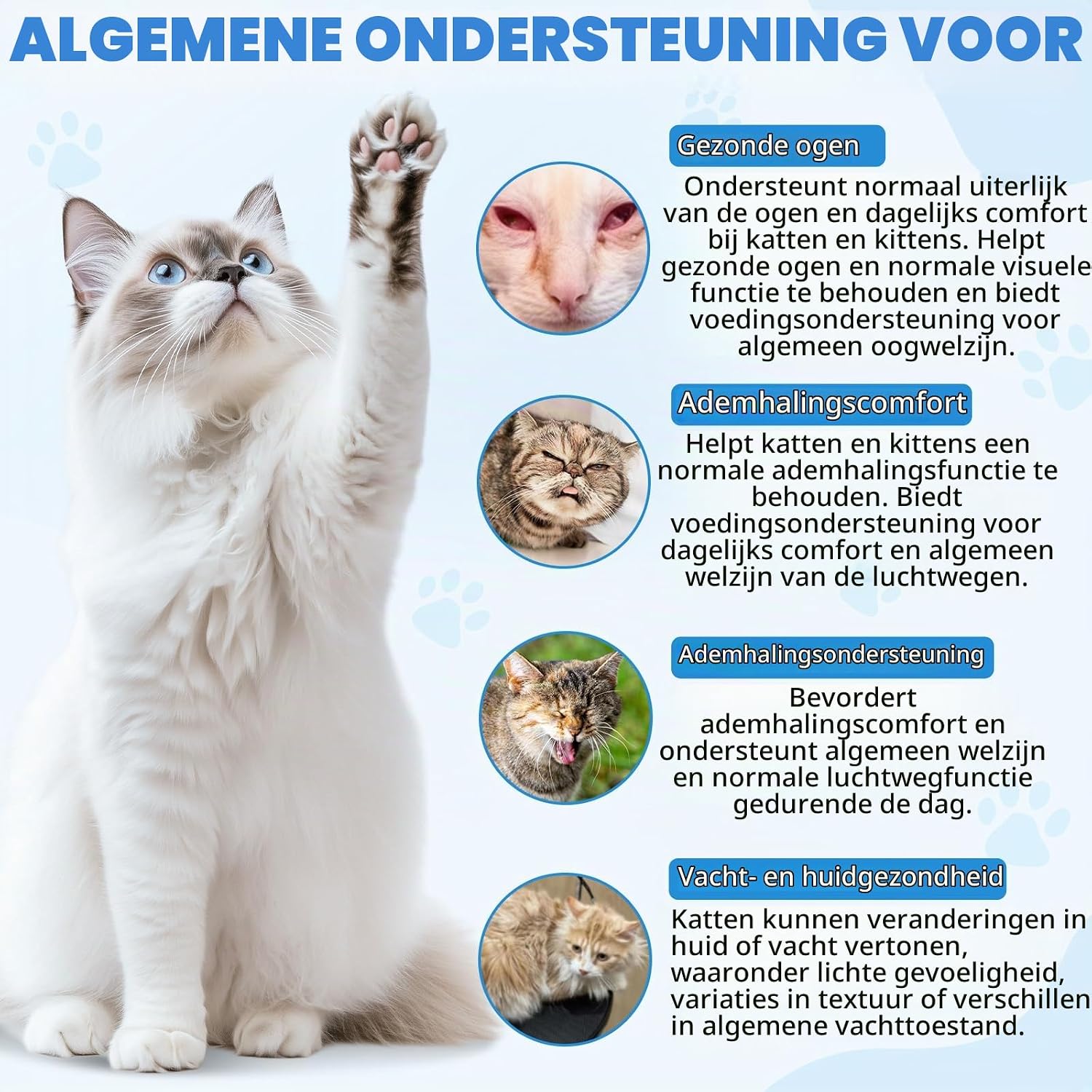 Detalle 2 de Onznoz 872DSF54 L-lysinedruppels voor katten, 60 ml