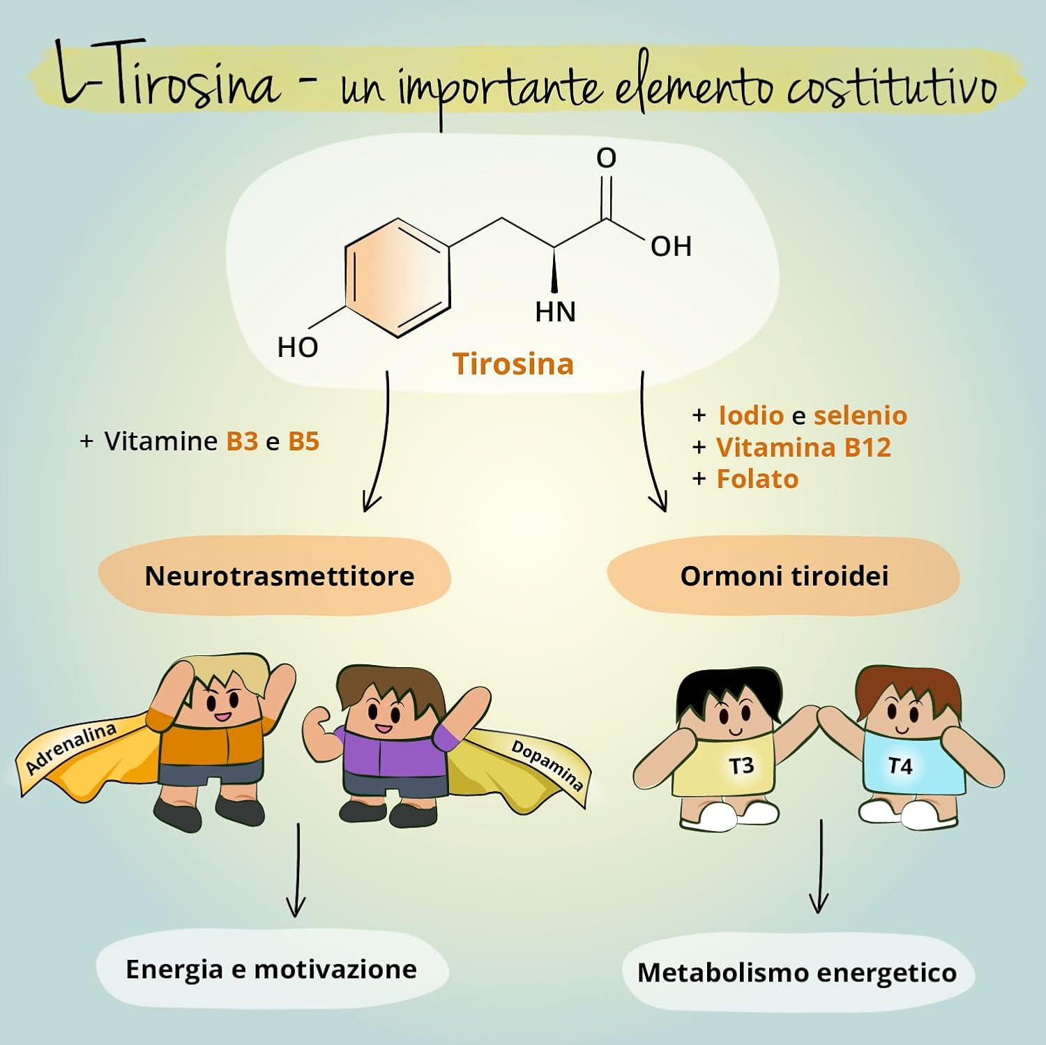Thumbnail 4 de L-Tirosina Vegavero® 1200 mg con iodio, selenio e vitamine del gruppo B | 180 capsule vegane