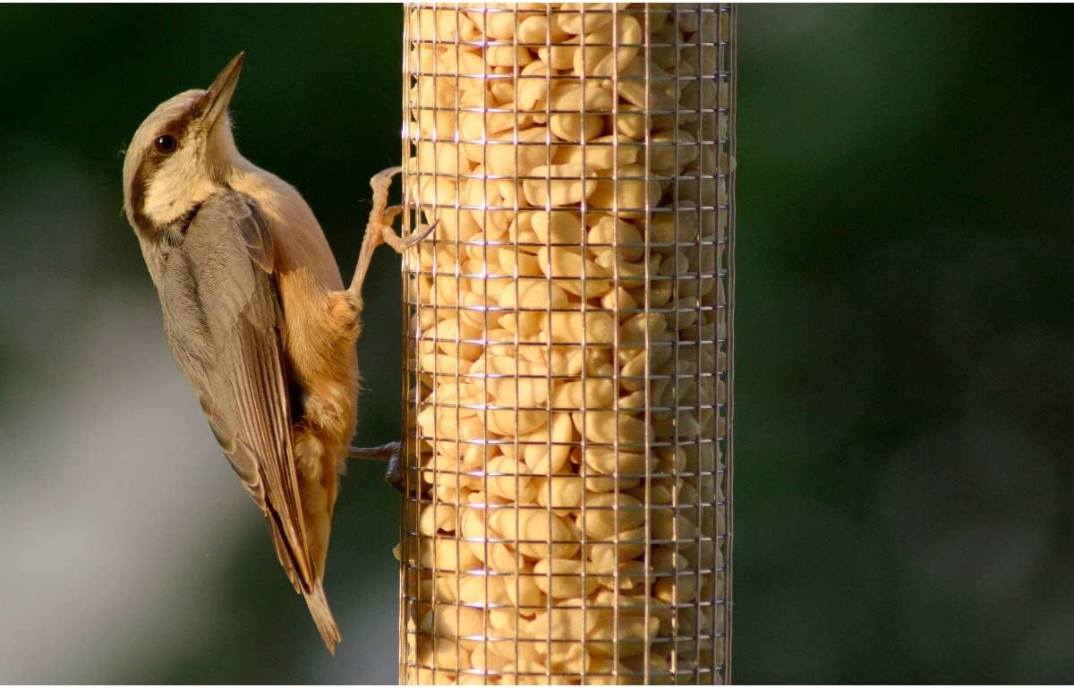 Thumbnail 6 de dobar 11513 – metalowa kolumna karmowa dla ptaków na orzechy i pestki