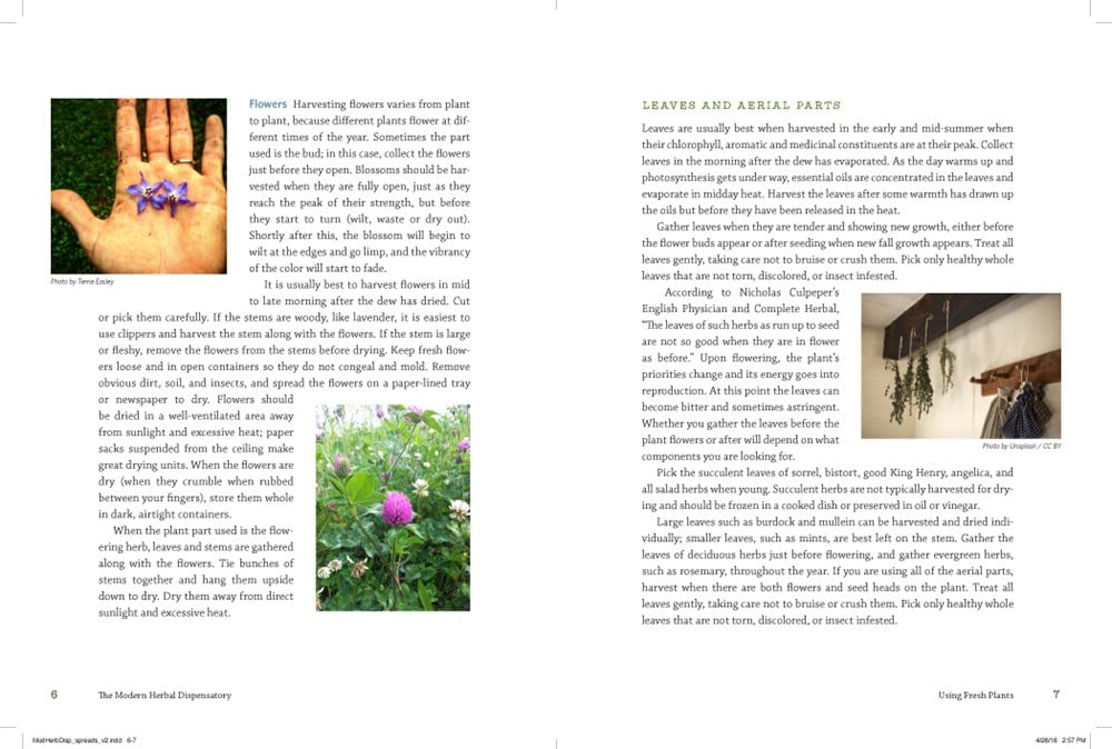 Detalle 2 de The Modern Herbal Dispensatory: A Medicine-Making Guide – geïllustreerd boek, 376 pagina’s