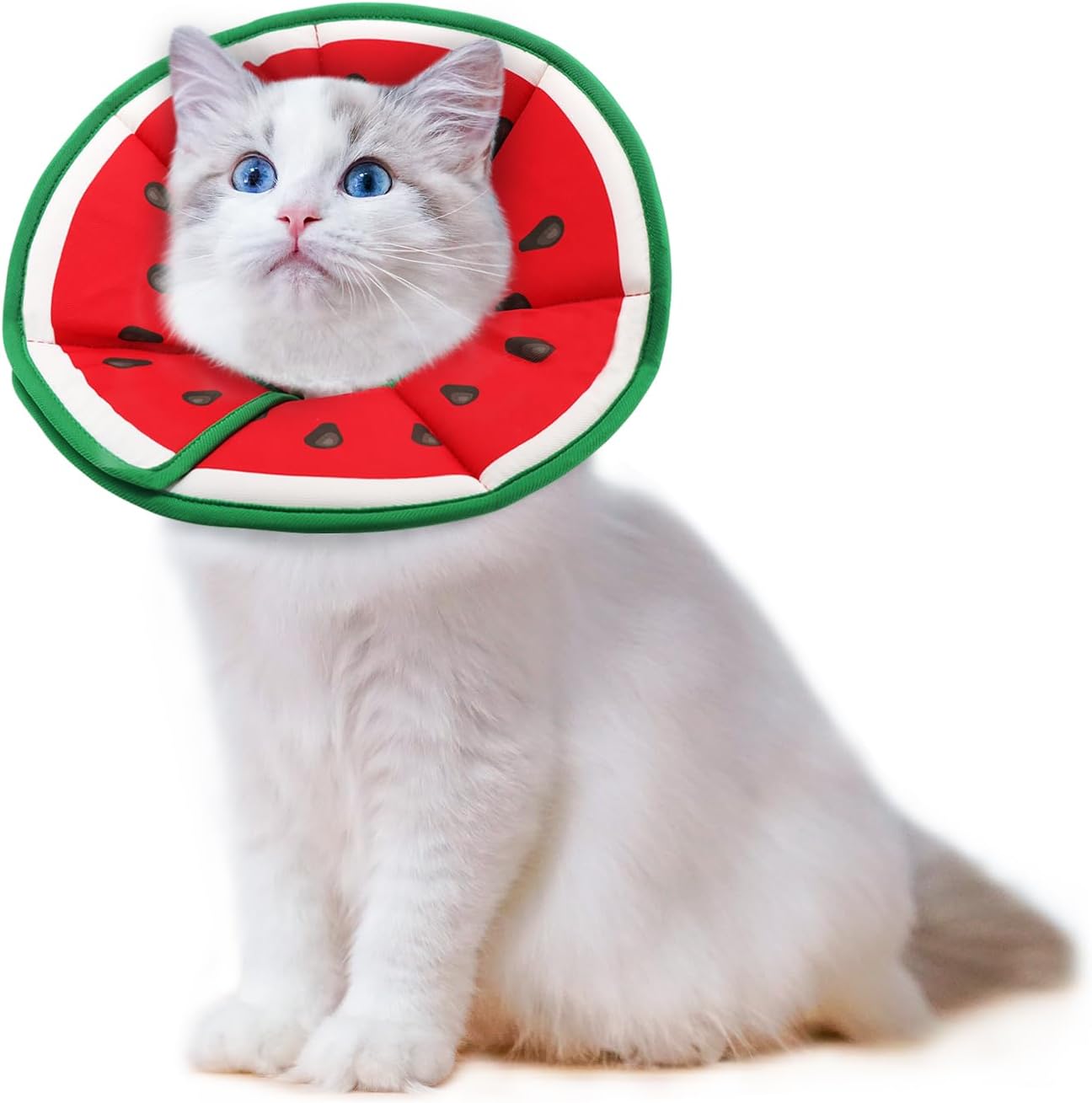 Thumbnail 5 de Supet weiche Fruit-Style Halskrause für Katzen & kleine Hunde – verstellbare Recovery-Cone nach OP