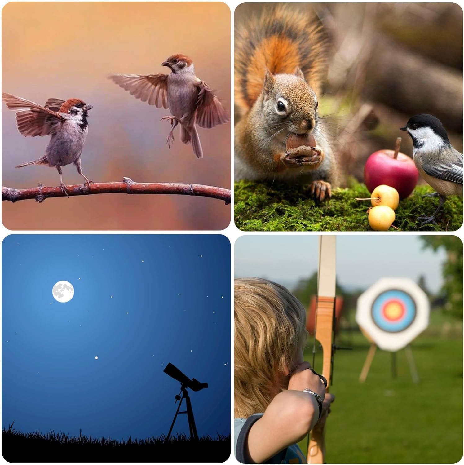 Detalle 2 de Gosky Spektiv Vogelbeobachtung 20–60 x 80 Porro Prism – wasserdicht für Natur, Wildlife & Sportschützen