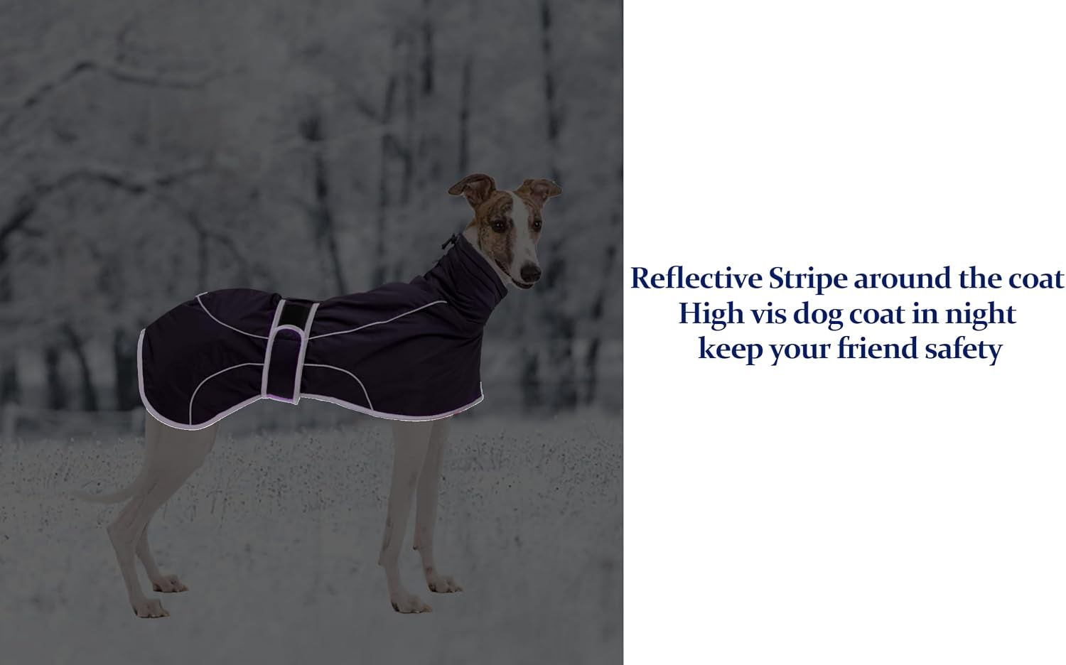 Thumbnail 5 de Morezi Greyhound Winter Coat, Whippet Coat with Padded Fleece Lining, Water-Resistant Dog Jacket in Purple (XXXLarge)