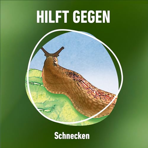 Detalle de COMPO Schnecken-frei Streugranulat – 4x225 g (900 g) gegen Nacktschnecken, regenfest, für bis zu 1800 m²