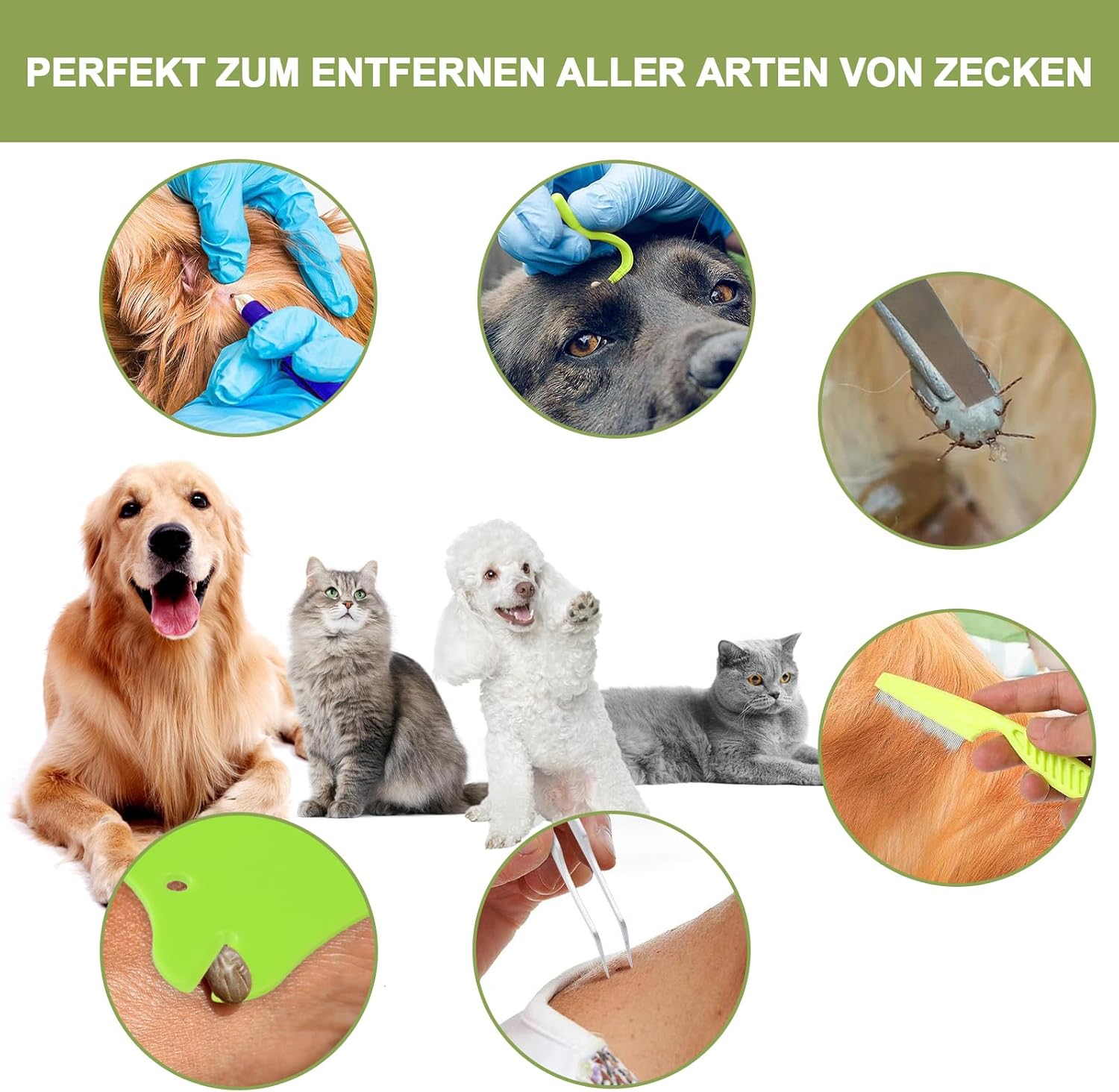 Thumbnail 5 de Nepfaivy Zeckenzange 8er-Set für Haustiere