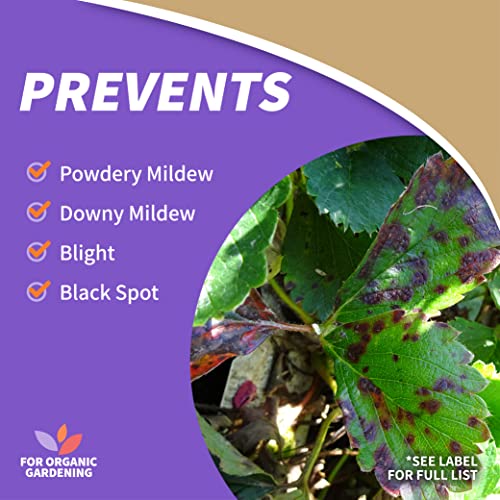 Detalle de Bonide Captain Jack's Copper Fungicide: 32 oz Ready-to-Use Spray for Organic Gardening
