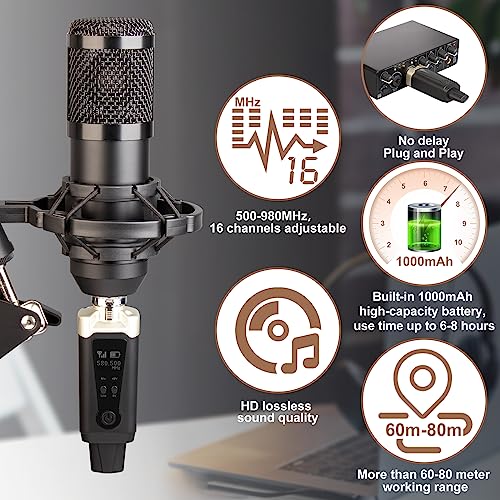 Thumbnail 3 de Depusheng T9: sistema wireless XLR per microfoni dinamici e a condensatore, stabile e versatile