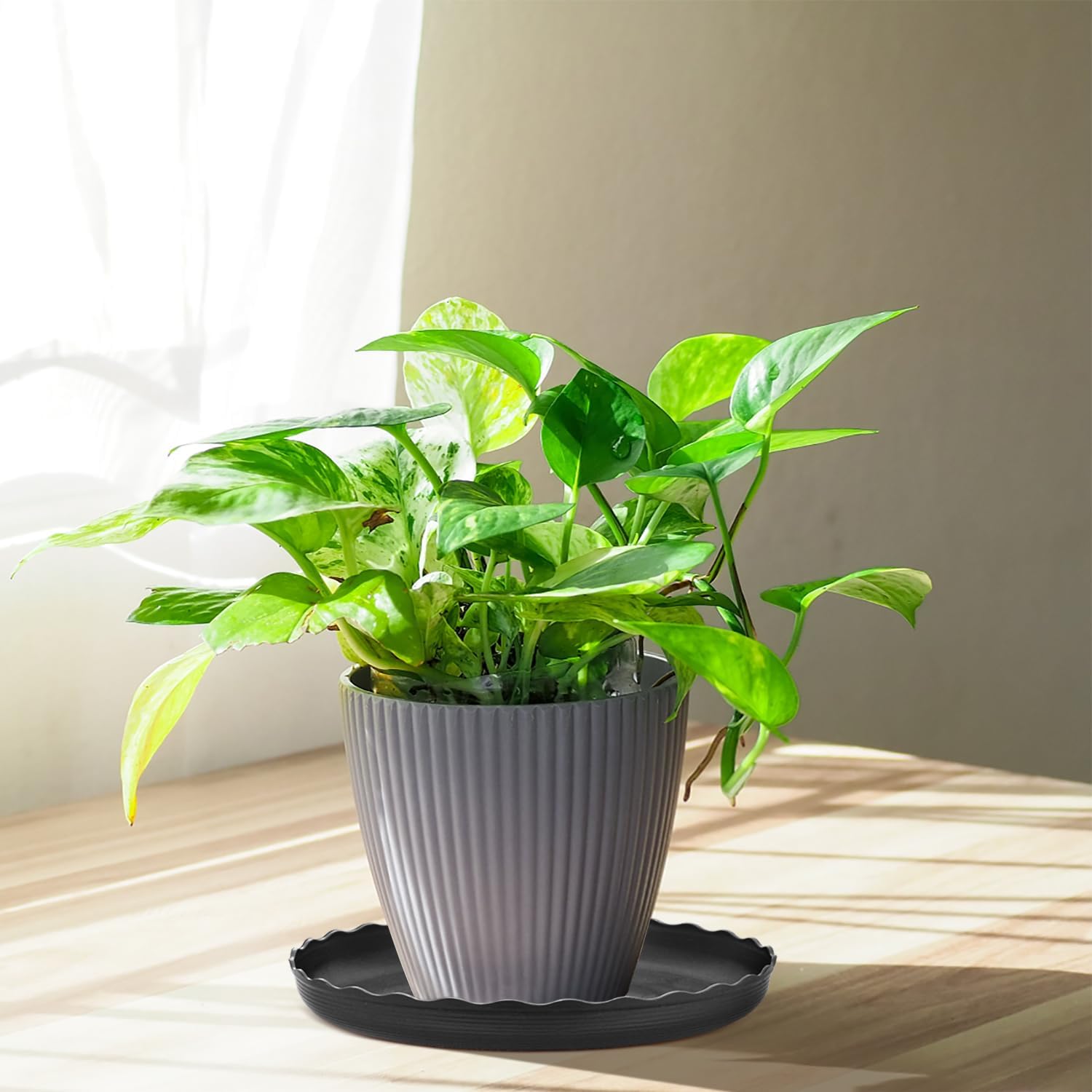 Thumbnail 5 de Worephu 5 Packs Plant Pot Saucers – Heavy Duty Round Drip Trays (Black)