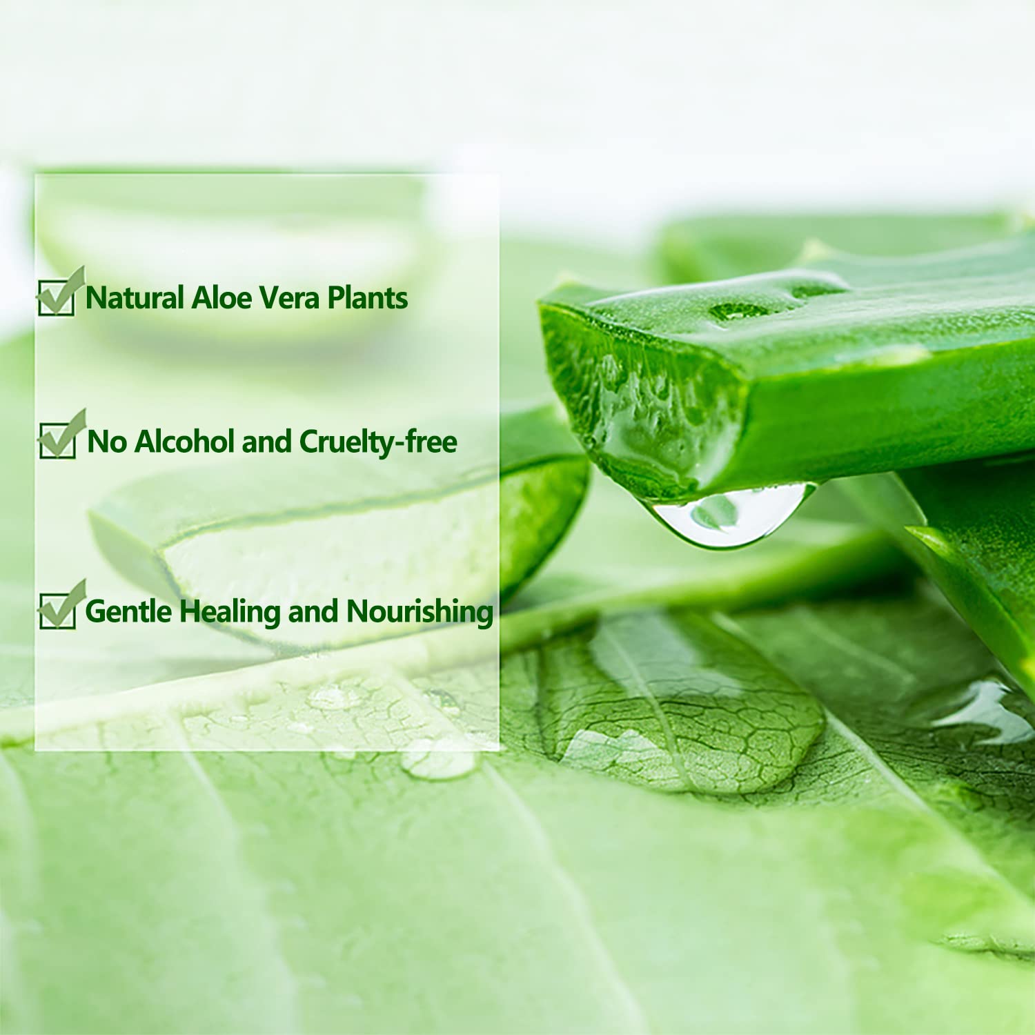 Thumbnail 2 de Aloe Vera Gel 300 ml von ASYBO