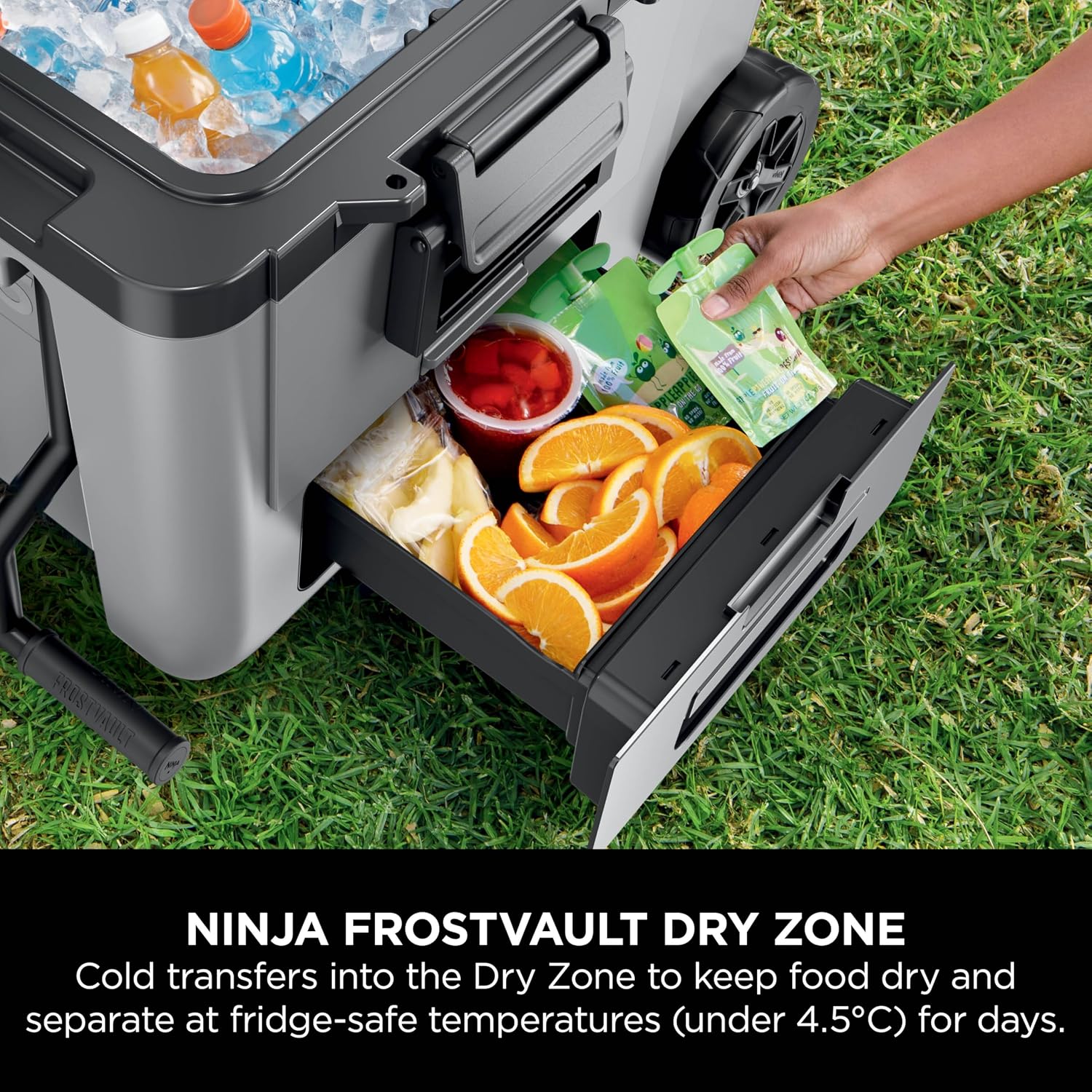 Detalle de Ninja FrostVault Heavy-Duty Insulated Cool Box