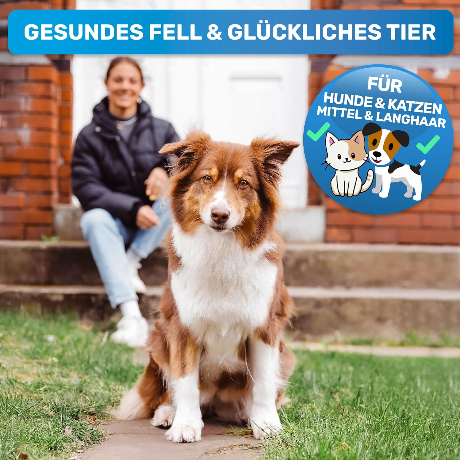 Detalle 2 de BluePet Unterwollbürste langhaar