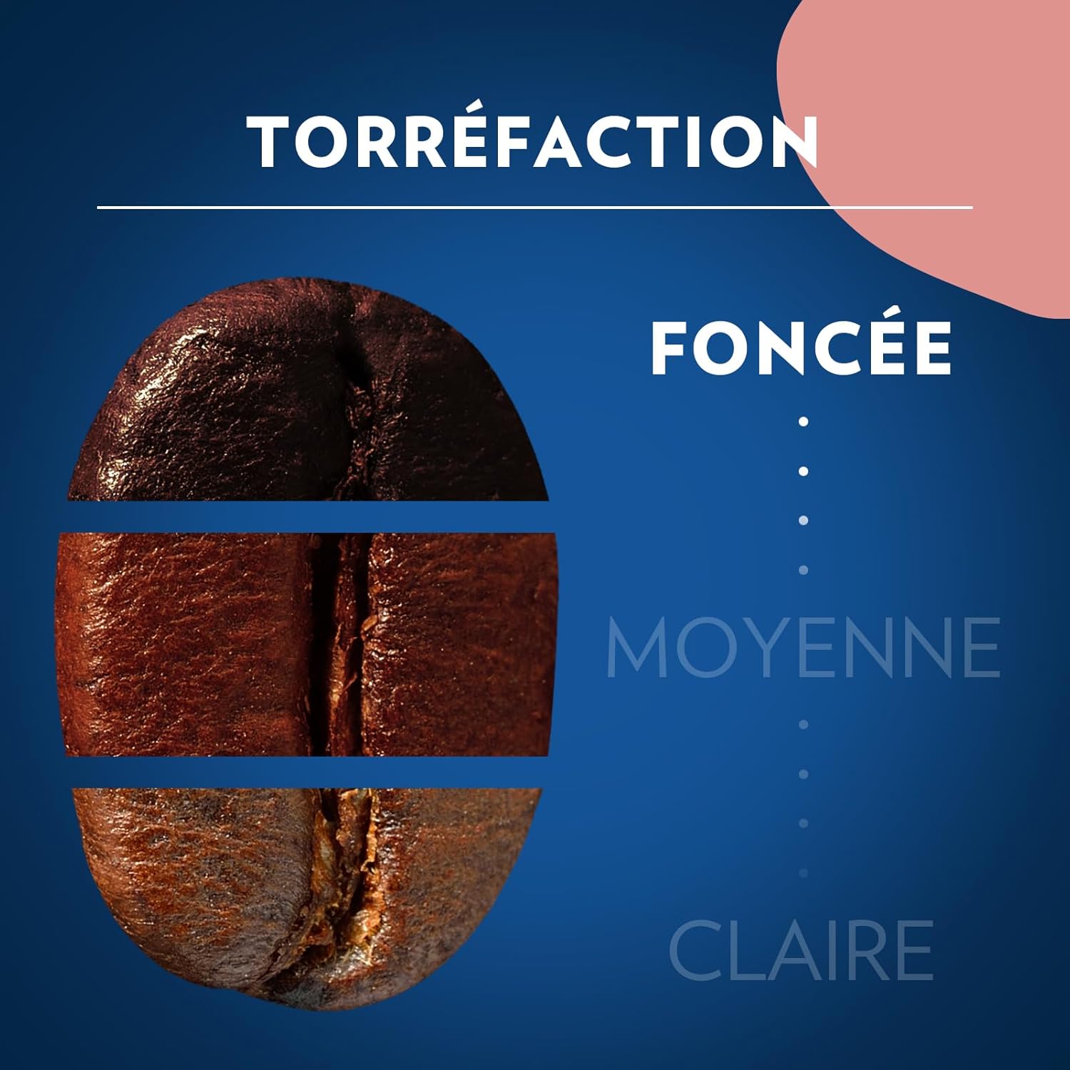 Thumbnail 3 de Lavazza Vivace Café Moulu 2 x 250 g – Arabica et Robusta, intensité forte (9/10) – Torréfaction foncée