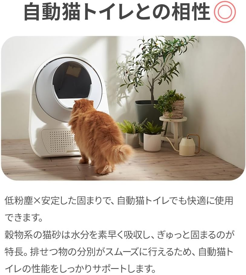 Detalle de オーエフティー キャッサバブレンドサンド 猫砂 4kg 無香料・穀物由来