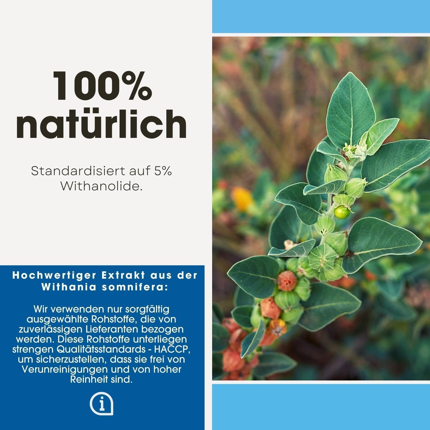 Detalle de Fair & Pure Ashwagandha Extrakt 500 mg – 180 Kapseln, vegan & made in Germany