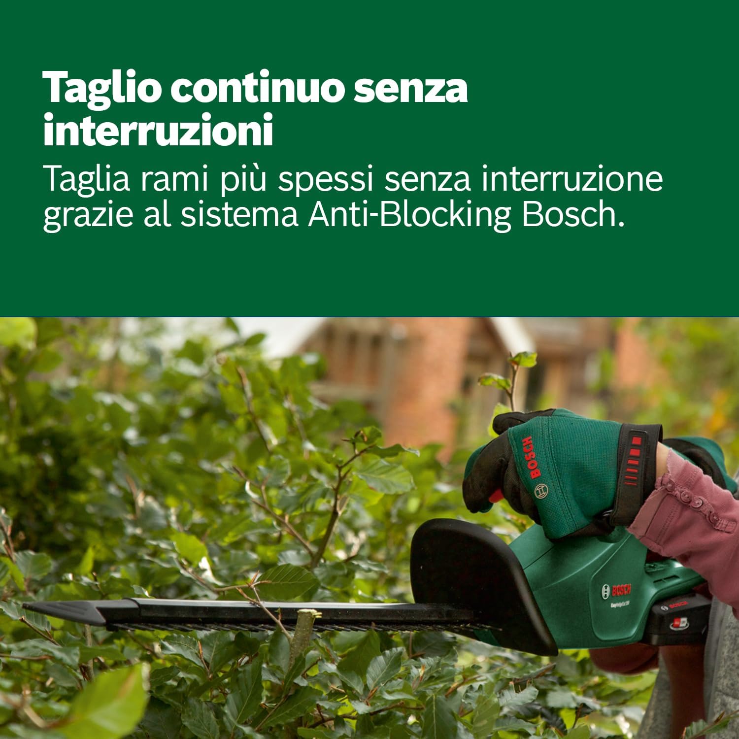 Thumbnail 5 de Bosch EasyHedgeCut 18-45: tagliasiepi a batteria leggera e maneggevole per piccoli cespugli