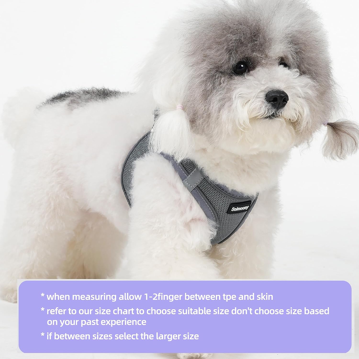 Detalle 2 de Solmoony Dog Harness and Leash Set XXS