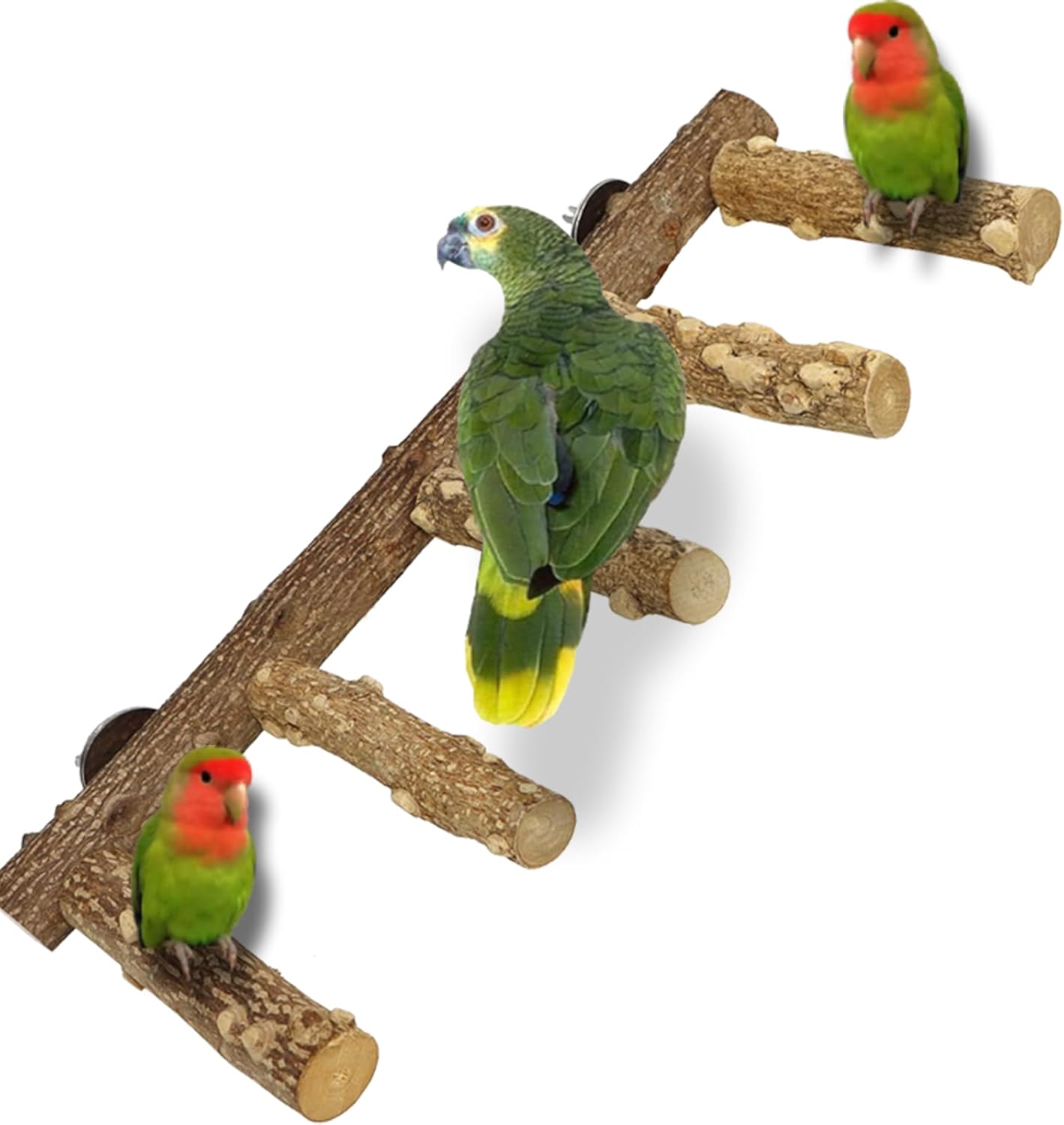 QeeHeng Natural Wood Parrot Perch Ladder (Budgie/Small Parrot Cage Accessory)