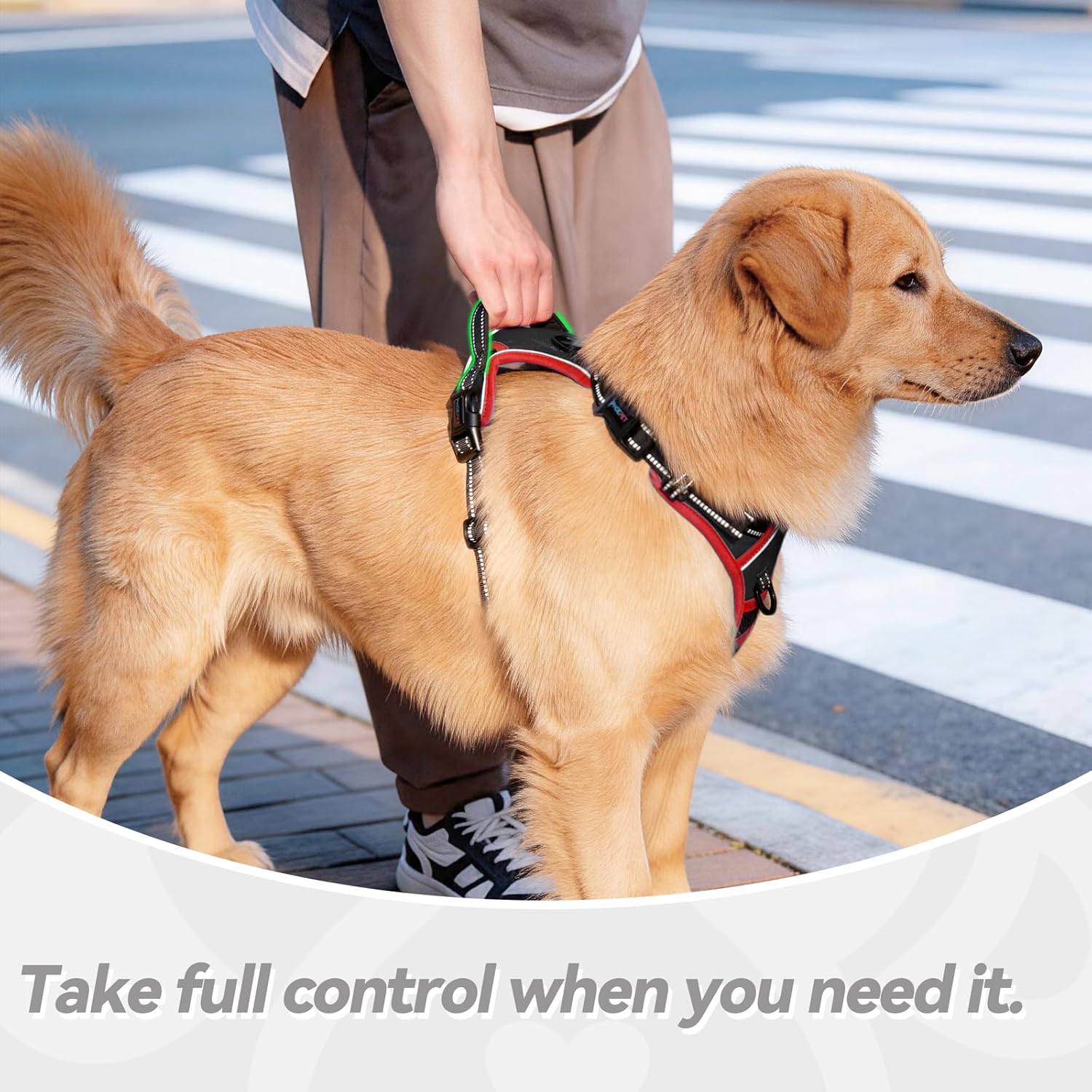 Thumbnail 6 de PHOEPET No Pull Dog Harness with Reflective Strips – Adjustable Vest for Small to Large Dogs