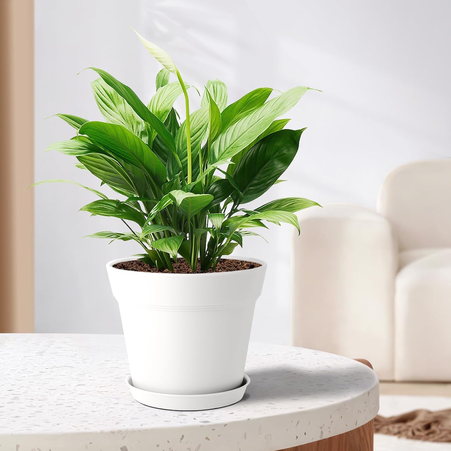 Thumbnail 6 de FORAGIFT 15cm Plant Pots 16 Pack