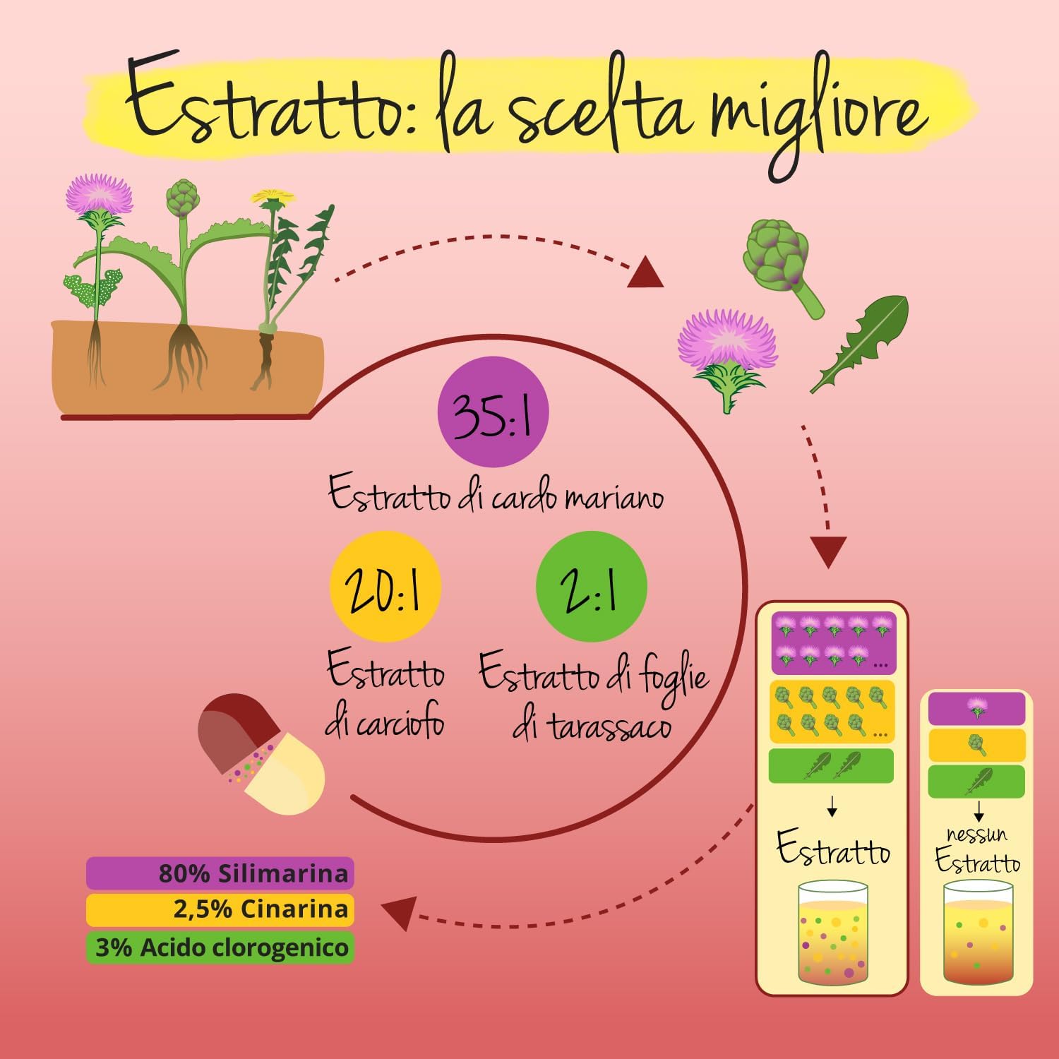 Thumbnail 5 de Vegavero Complesso di Cardo Mariano + Tarassaco BIO + Carciofo BIO - 120 capsule, 80% Silimarina