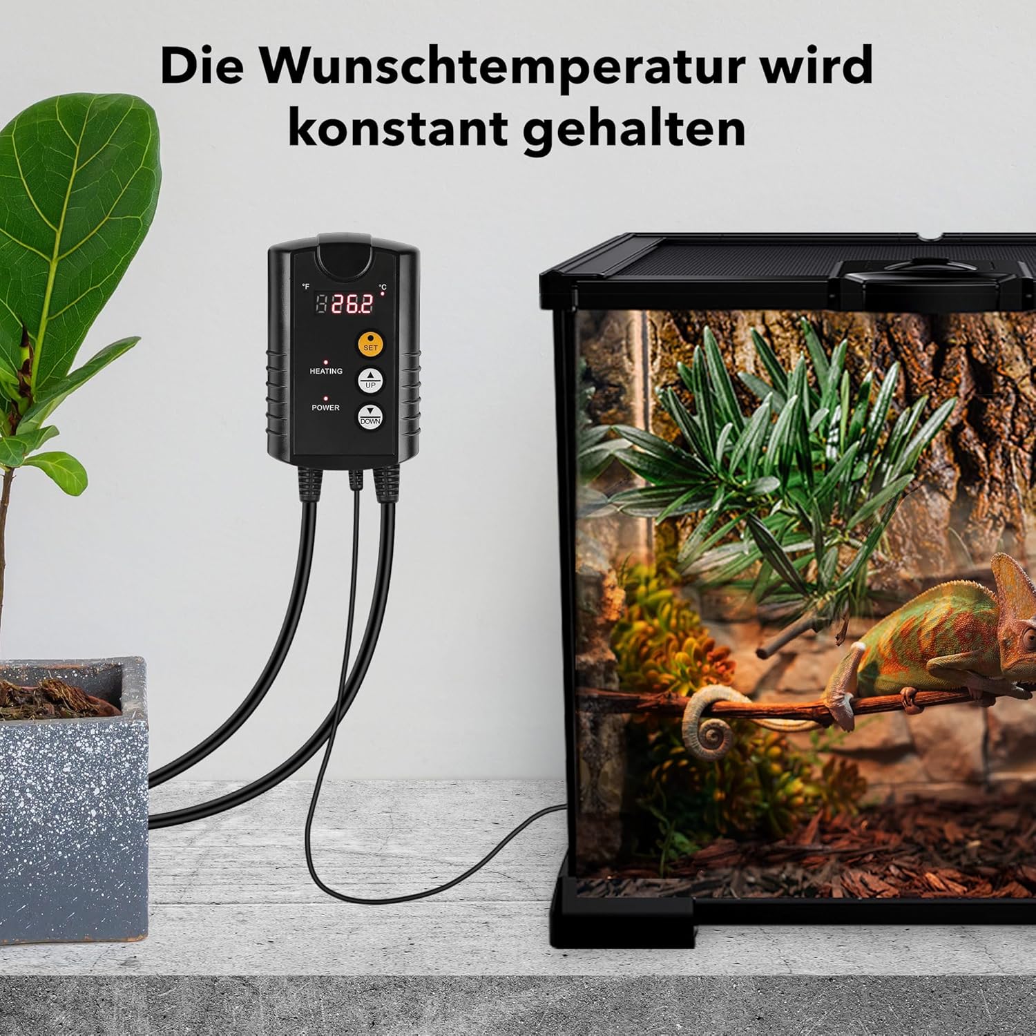 Thumbnail 5 de HBN Digitaler Temperaturregler für Inkubation und Gewächshaus ⛅