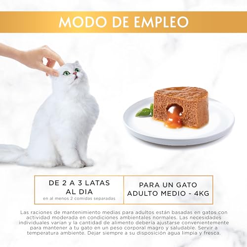 Thumbnail 3 de Gourmet Gold Fondant Atún 85 g
