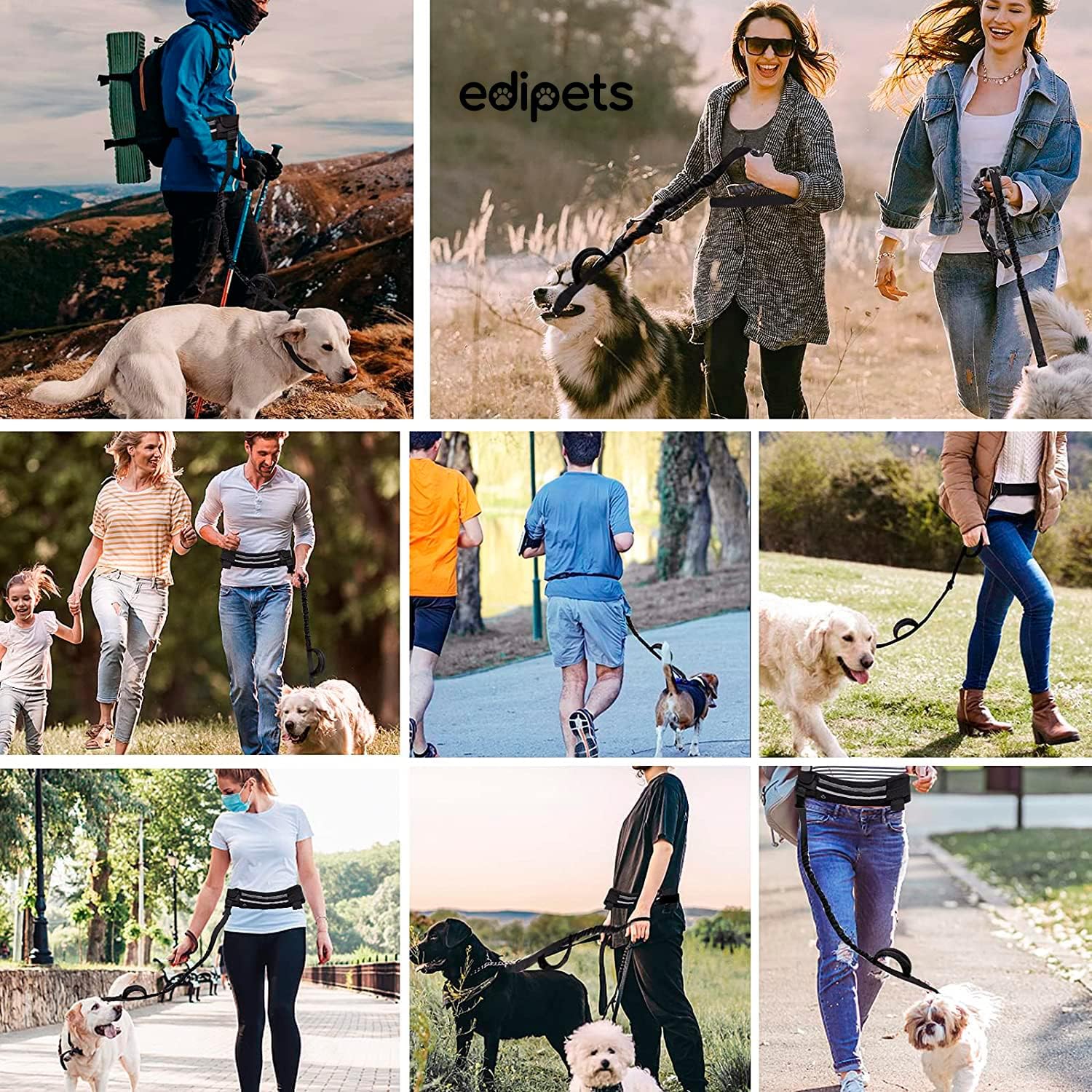 Thumbnail 5 de Edipets Dog Running Lead 160–220 cm 🐕