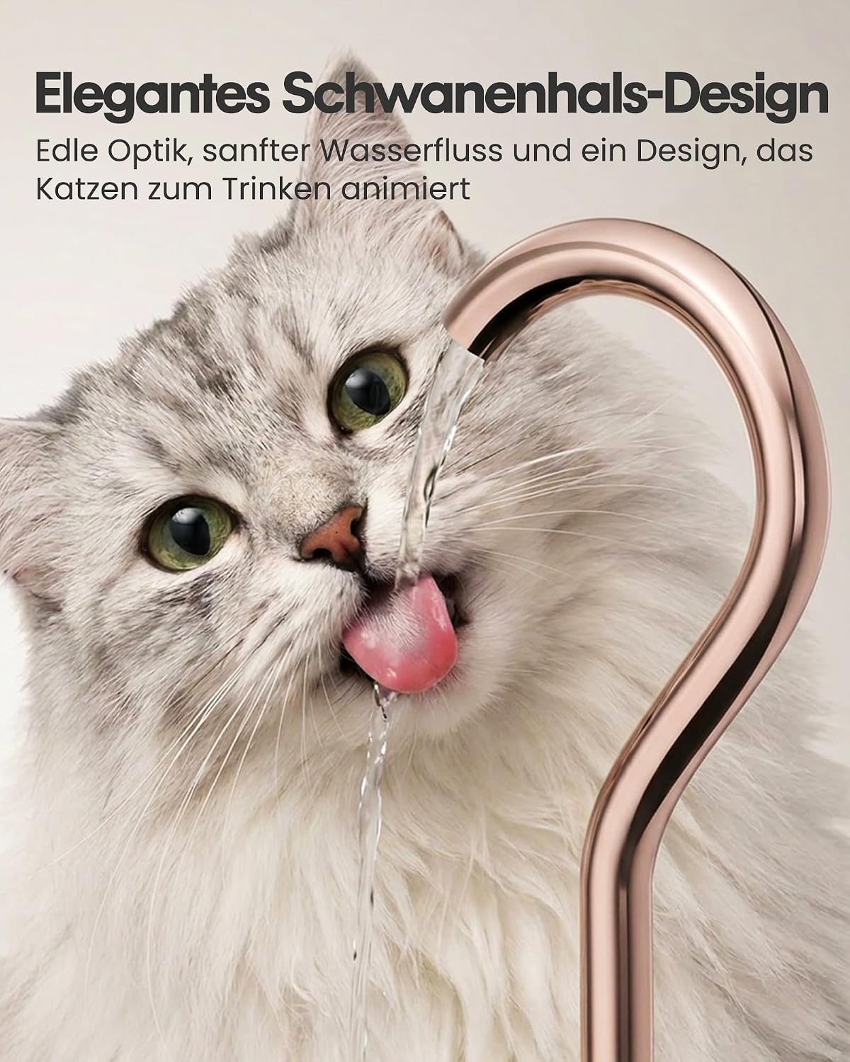 Detalle de TOMXCUTE Katzenbrunnen 4L Trinkbrunnen aus Edelstahl für Katzen 🐾