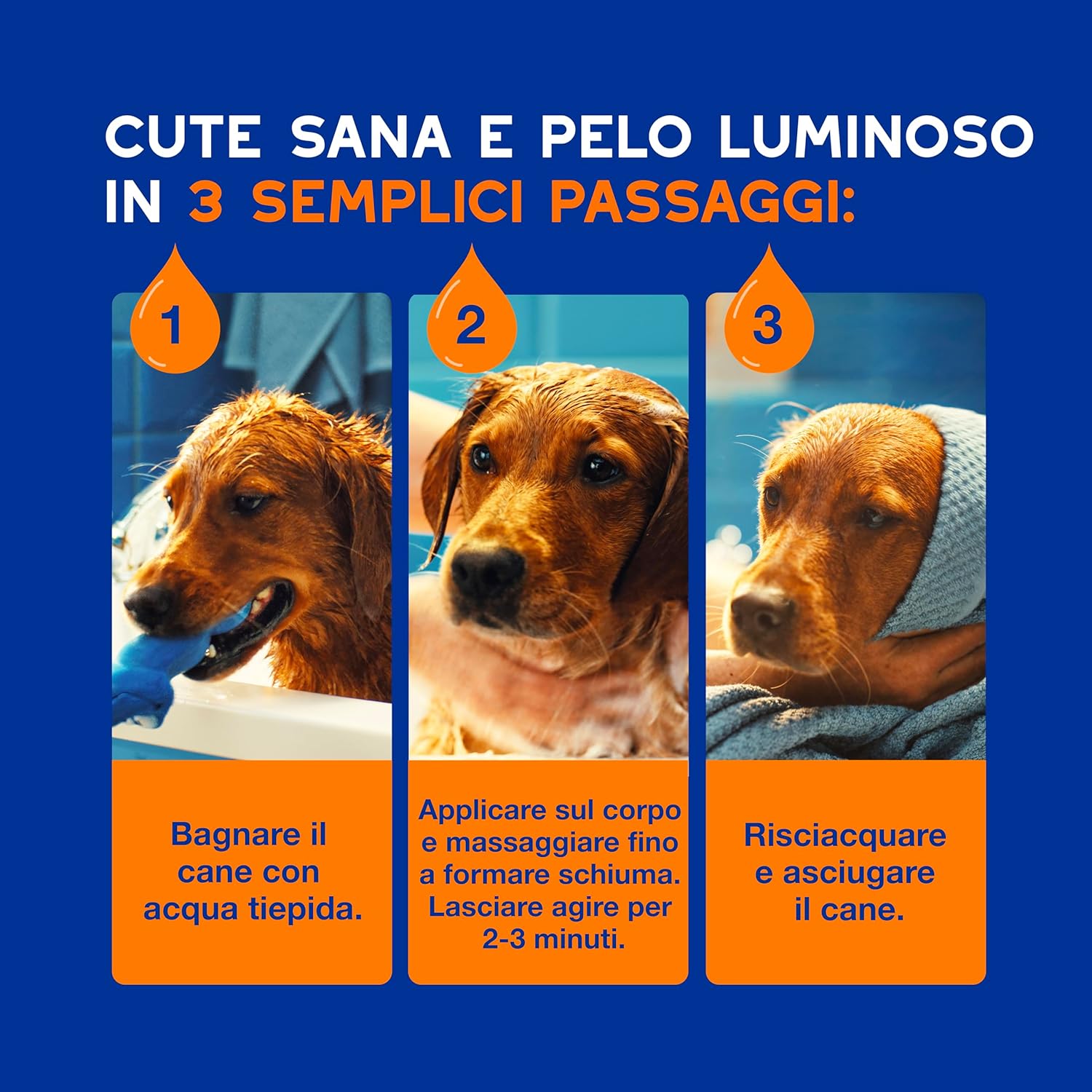 Thumbnail 5 de DOUXO Skin & Coat SPA shampoo 2 in 1