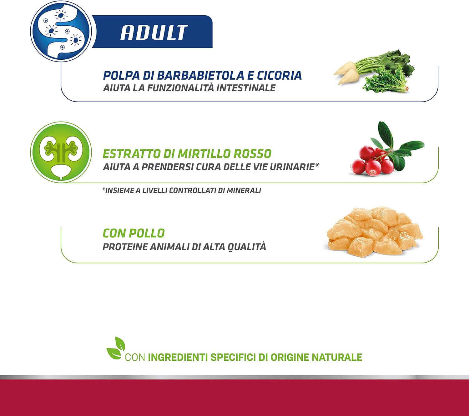 Detalle 2 de Trainer Natural Cat Adult con Pollo 3 Kg – equilibra intestino, pelle e igiene orale