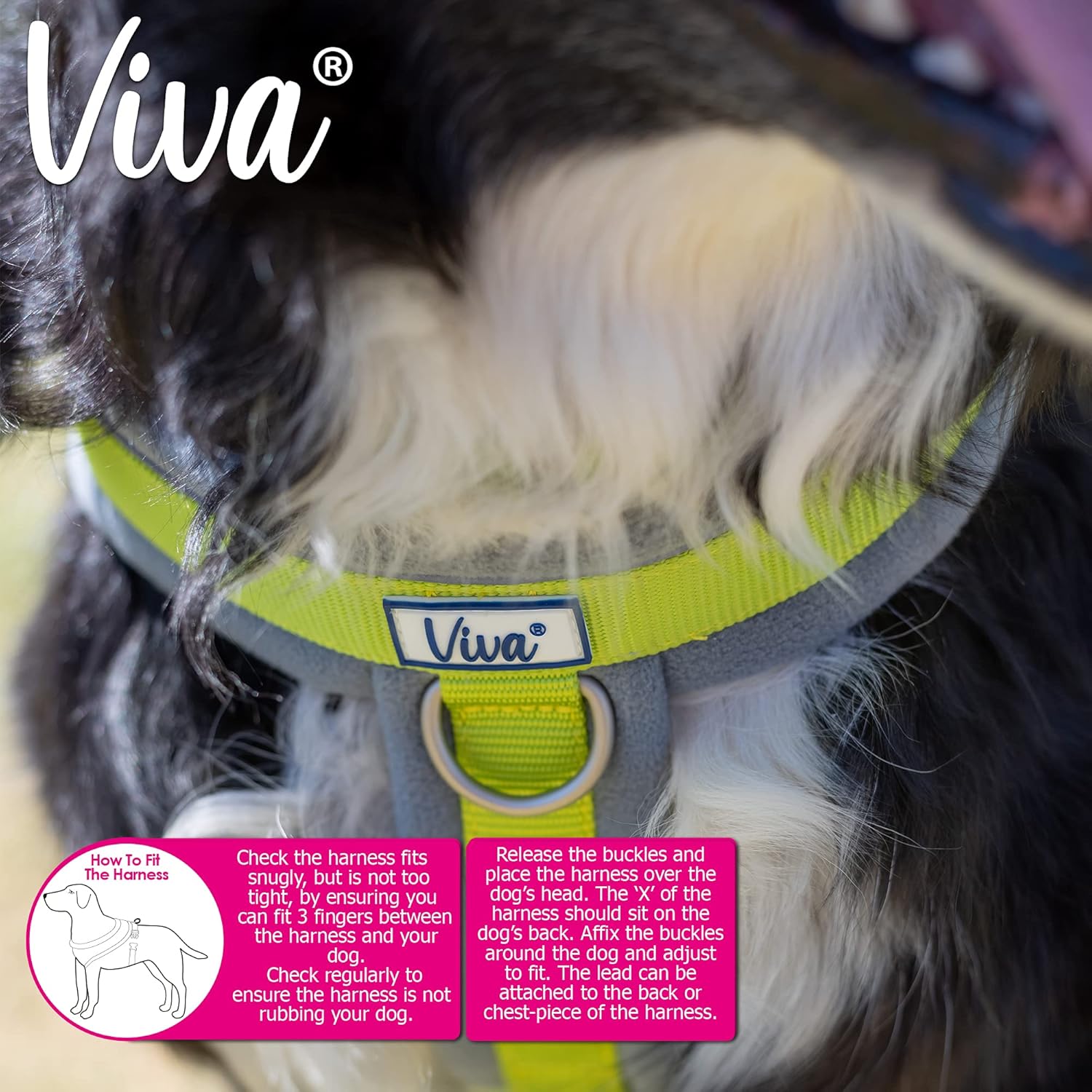 Detalle 2 de Ancol Viva Padded Harness in Blue (Large, 52–71cm) – comfortable, reflective dog harness