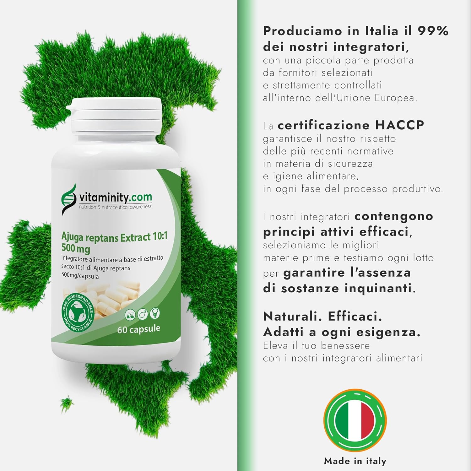 Detalle 2 de Vitaminity Ajuga Reptans Extract — Integratore monocomponente per capelli e prostata, 60 capsule