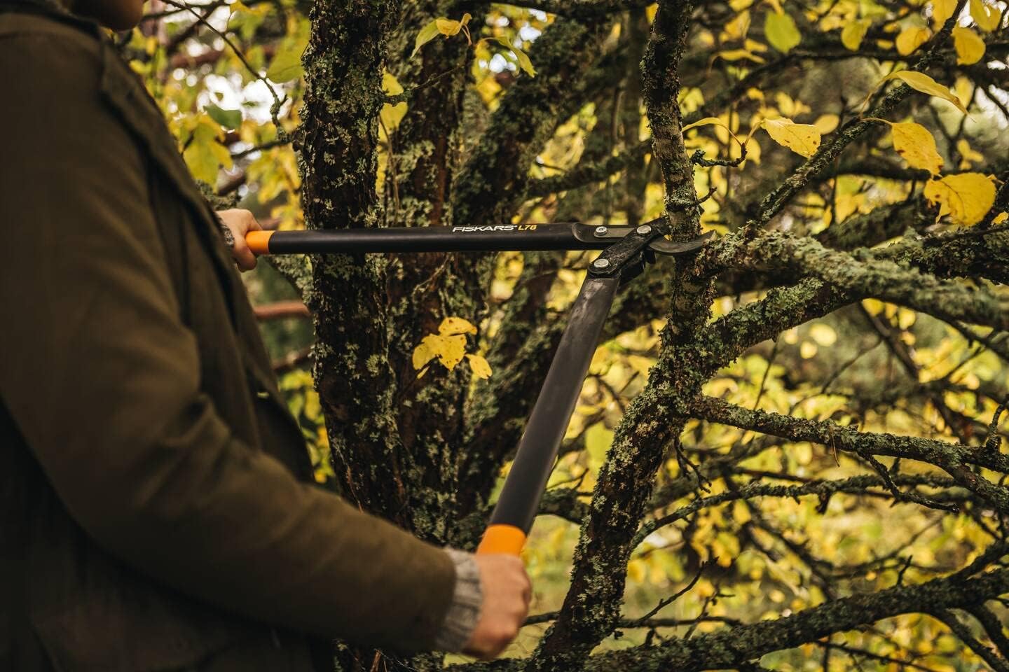 Thumbnail 4 de Fiskars PowerGear II Bypass-Getriebeastschere L78 – 70 cm, Antihaftbeschichtet, rostdichter Präzisionsstahl