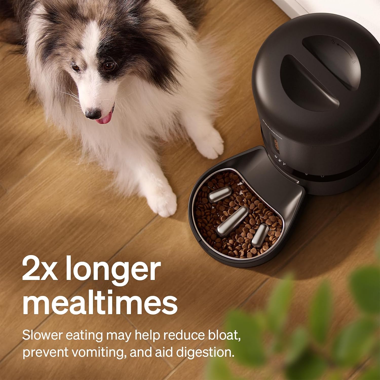 Thumbnail 3 de PETLIBRO Granary Automatic Cat Feeder with 1080p HD Camera