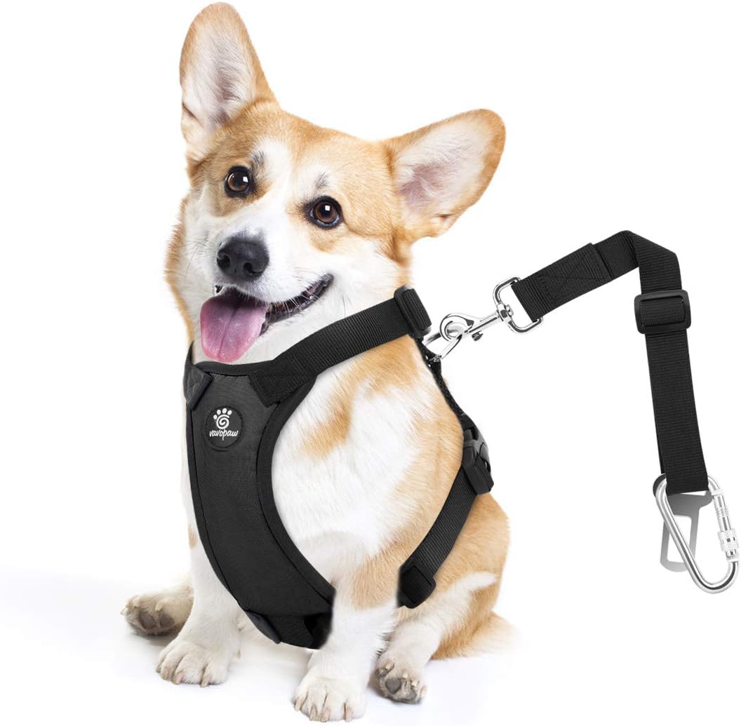 Thumbnail 6 de VavoPaw XXL Black Dog Seat Belt Vest Harness