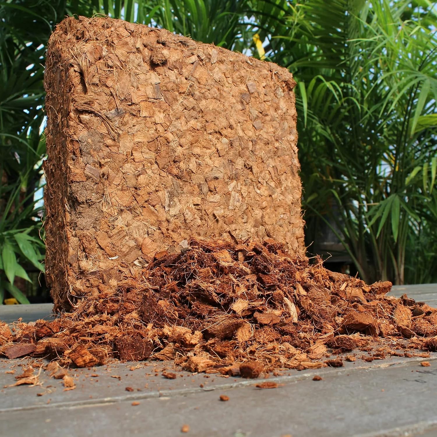 Thumbnail 6 de plantonix Coco Chips Coconut Husk Mulch Brick, 10 lb, Moisture-Retaining