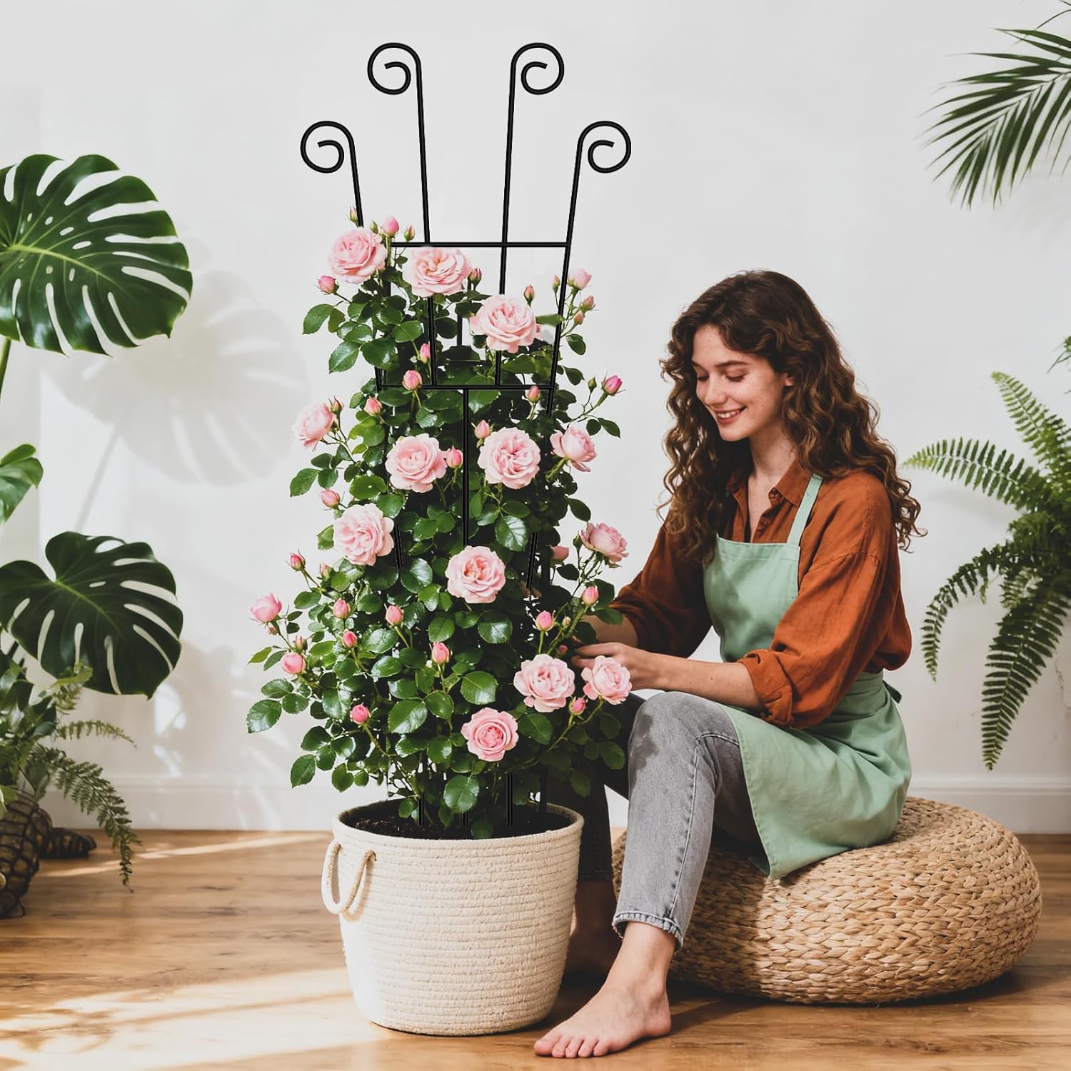 Thumbnail 6 de WELDUN 4 Pack 75cm Metal Plant Trellis Stakes for Climbing Plants (Indoor & Outdoor)