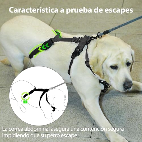 Detalle de Paworld Harnais anti-fugue pour chien, réglable, respirant ⚙
