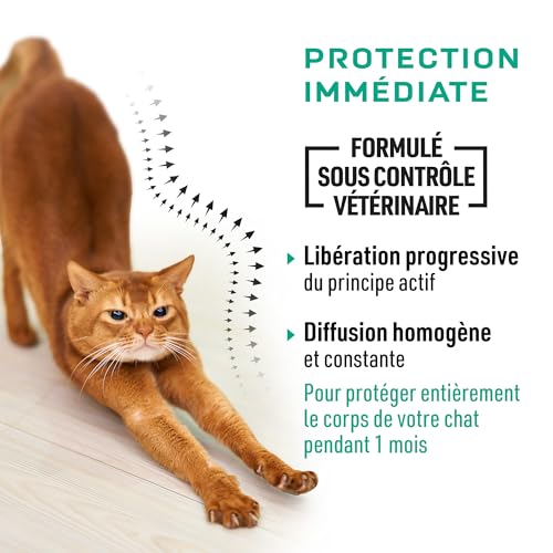 Detalle 2 de Vetocanis Pipettes Anti-Puces Chat 9 Mois + Pack Eco x4 – Repousse puces, tiques et moustiques