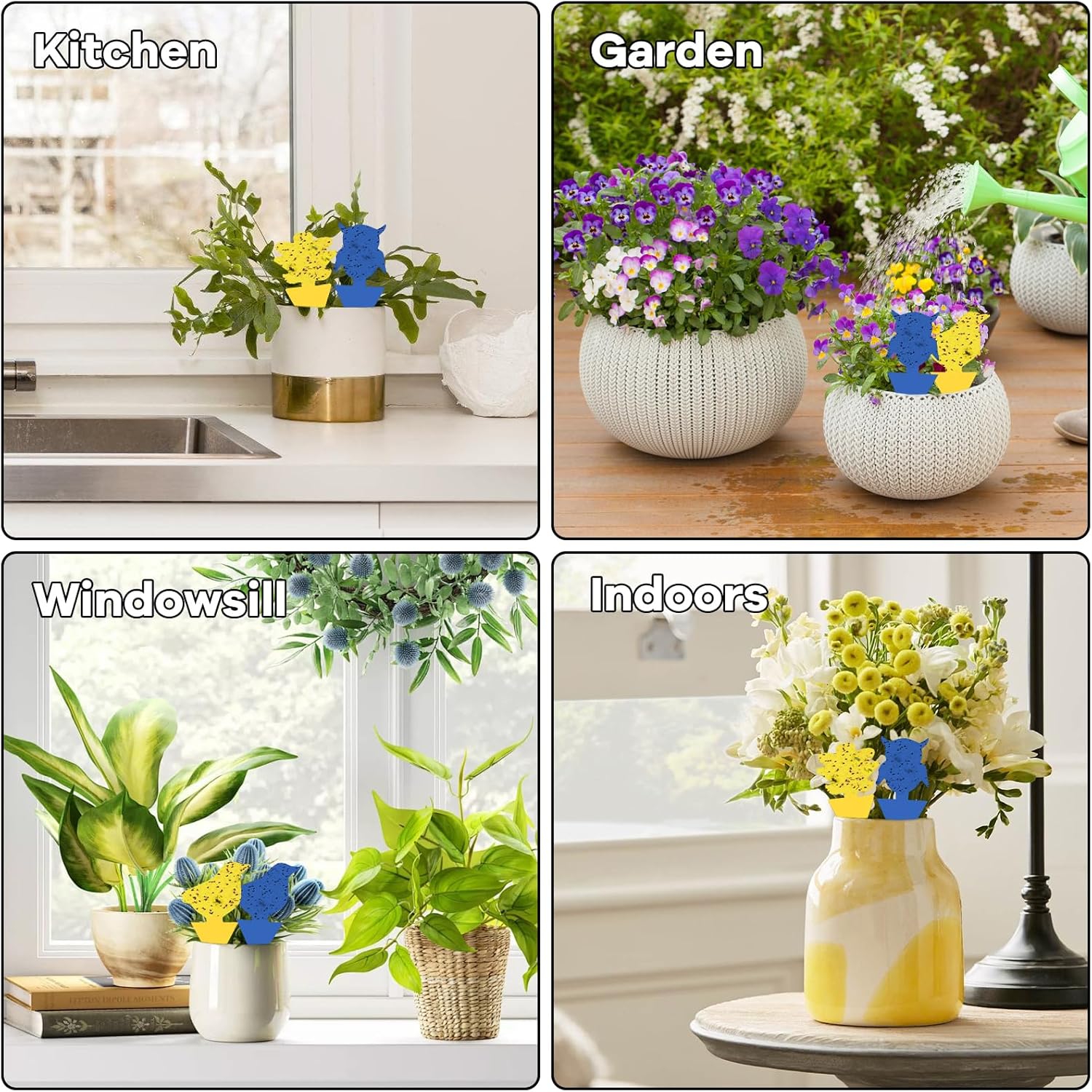 Thumbnail 5 de Fruit Fly Traps: Double-Sided Fungus Gnat Sticky Catchers for Indoor and Outdoor Use (64 Pcs)