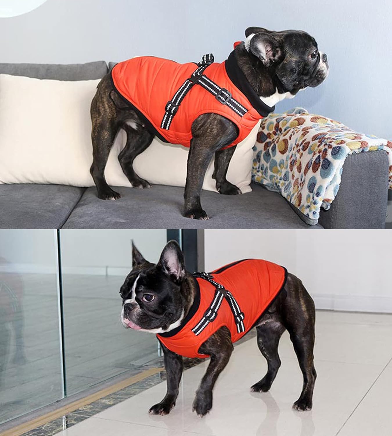 Thumbnail 6 de Morezi dog coat with harness (warm, reflective) – Orange, L