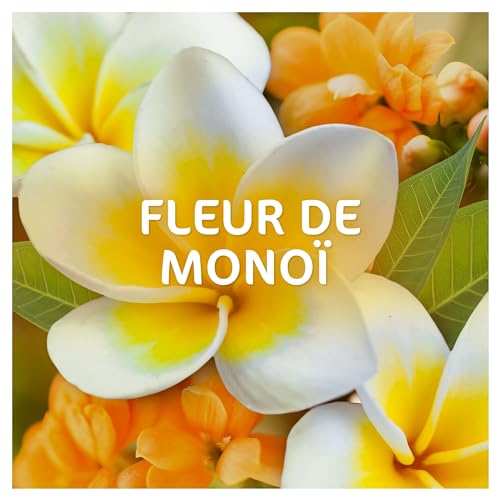 Detalle 1 de Dash 2en1 Lessive Liquide Fleur de Monoi x44 – fraîcheur durable et parfum exotique