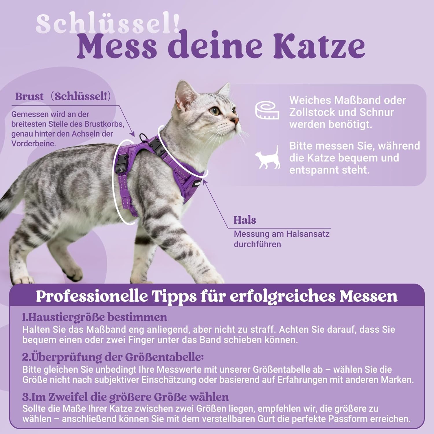 Detalle de Rabbitgoo Katzengeschirr mit Leine – Ausbruchsicher, verstellbar, weiches Brustgeschirr, Reflektierend, S (Lila)