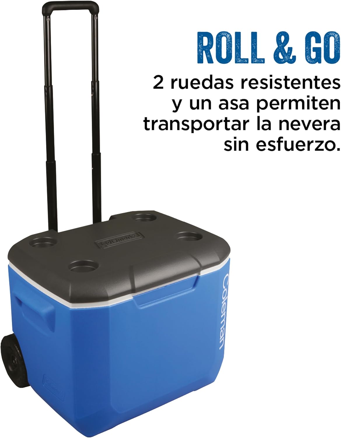 Detalle de Coleman tienda de campaña 4 plazas ⛺