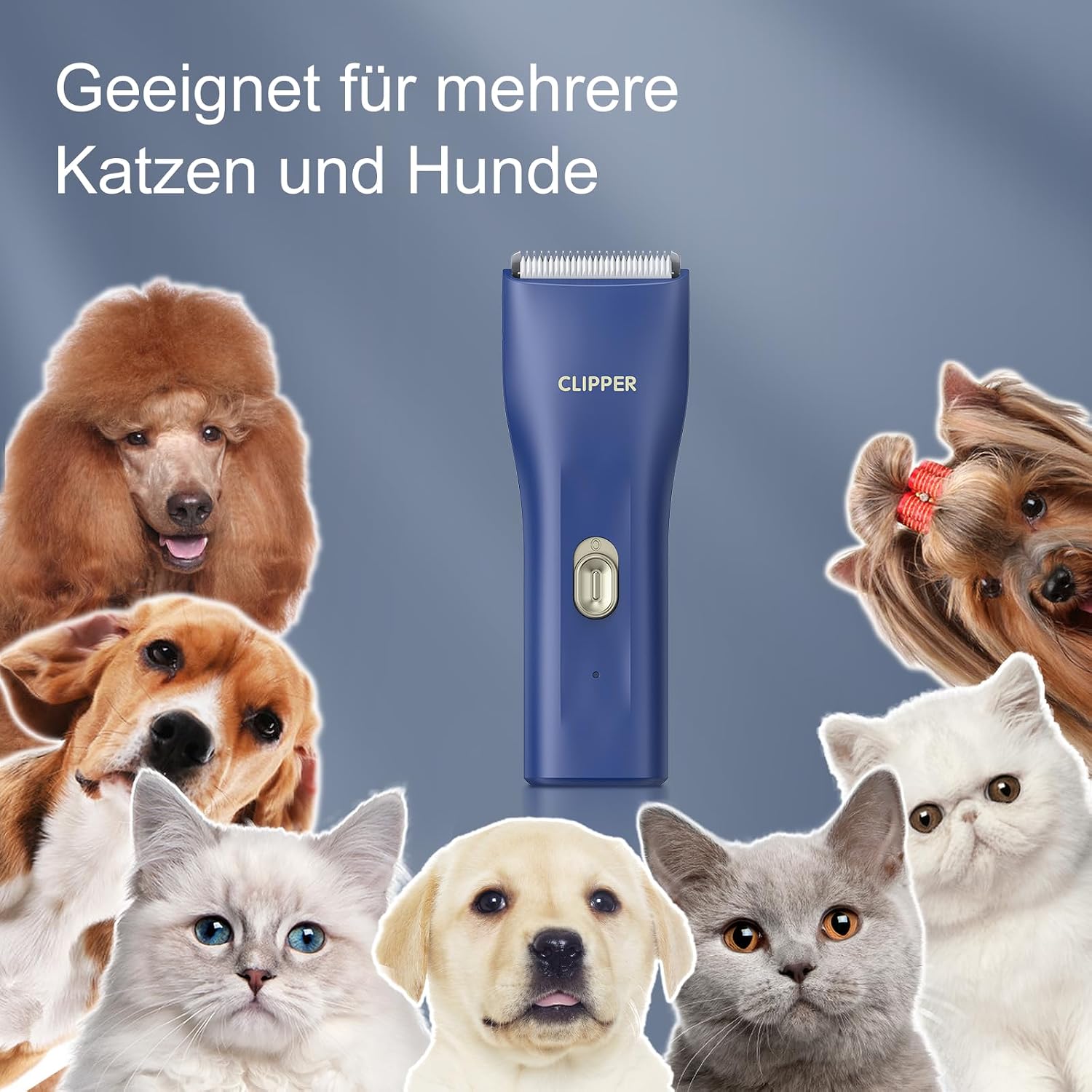 Detalle 2 de Professionelle Hundeschermaschine 7500RPM