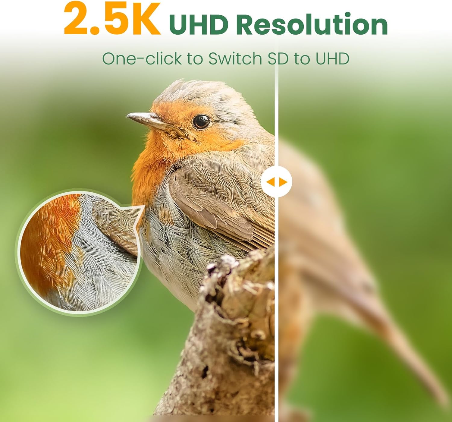 Thumbnail 2 de WLNYUGS Bird Feeder with Camera – Smart Bamboo 2.5K UHD AI Identification