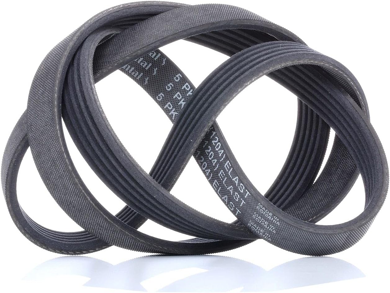 Detalle de CONTINENTAL CTAM Courroie à nervures trapézoïdales 5PK1236ELAST