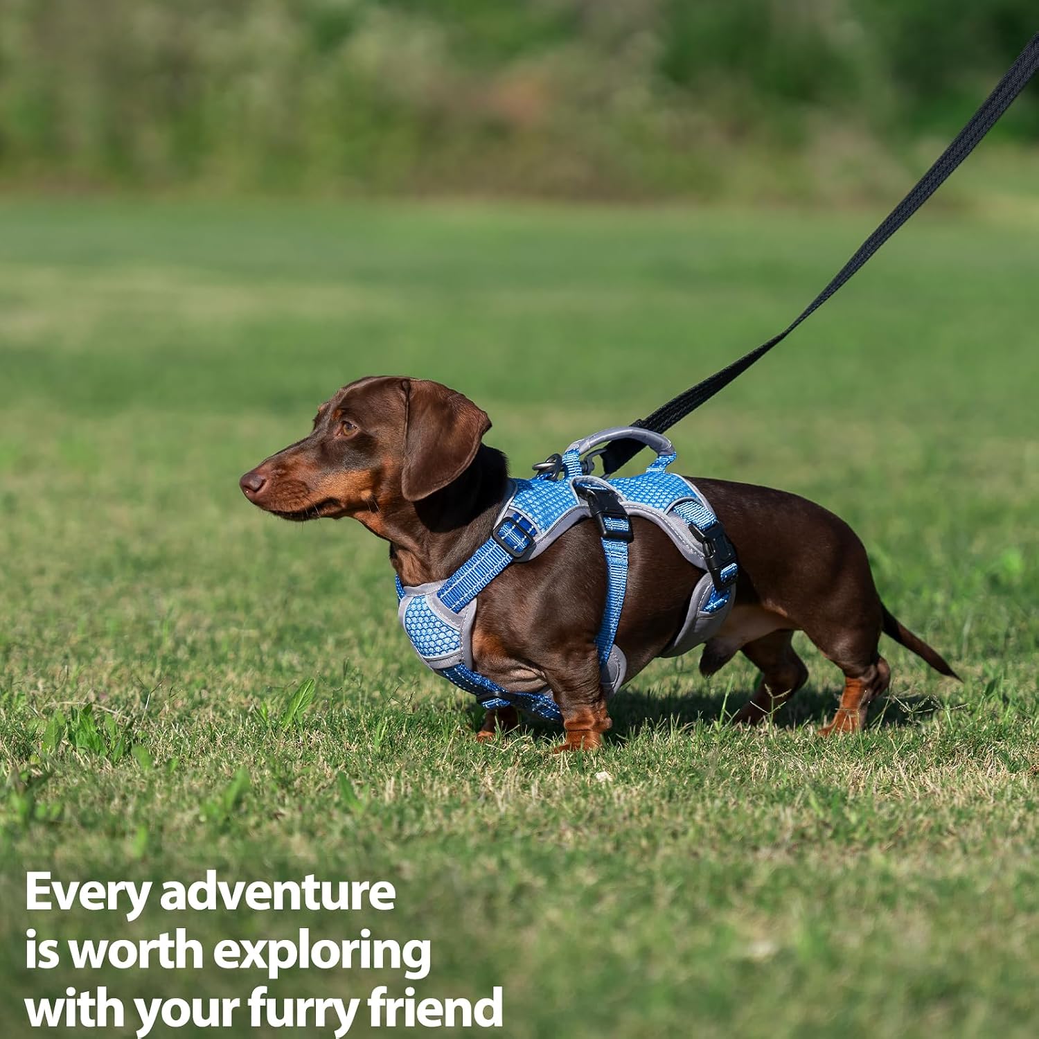 Thumbnail 6 de Huntboo Dog Harness M