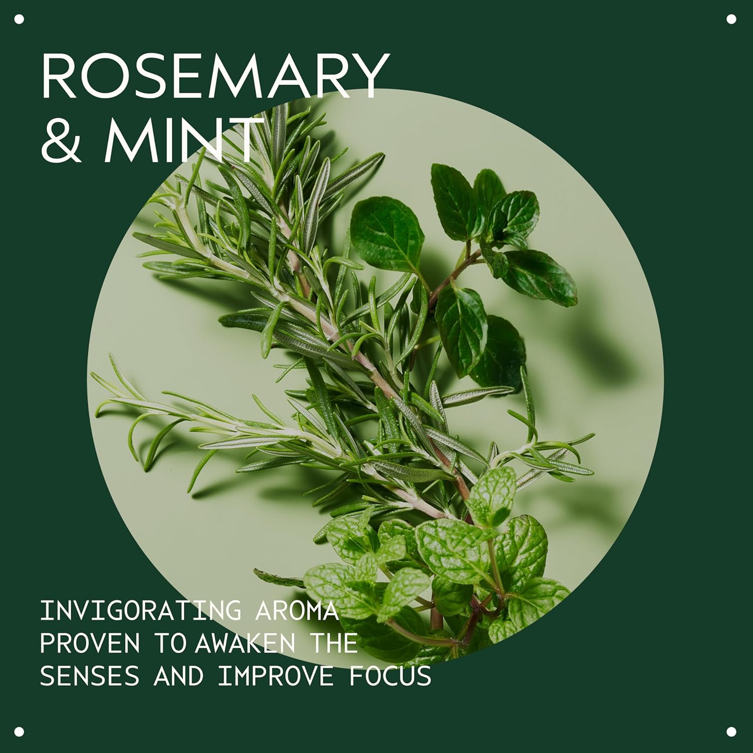 Thumbnail 2 de Aveda Rosemary Mint Purifying Shampoo – clarifying daily shampoo for normal to oily hair